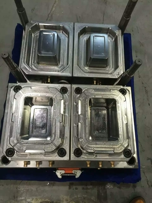 Pp Food Container Injection Moulding Mould Multi Rongga Dengan Cold / Hot Runner