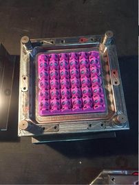 Mesin Cetak Injeksi Hemat Energi Kustom Untuk Cetakan Baki Telur Plastik